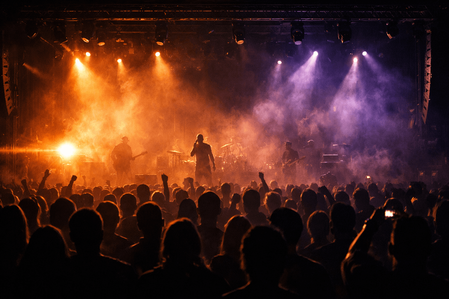 Crowd at a concert
